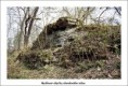 /album/fotogalerie-obrazky/mydlovar-11-jpg/